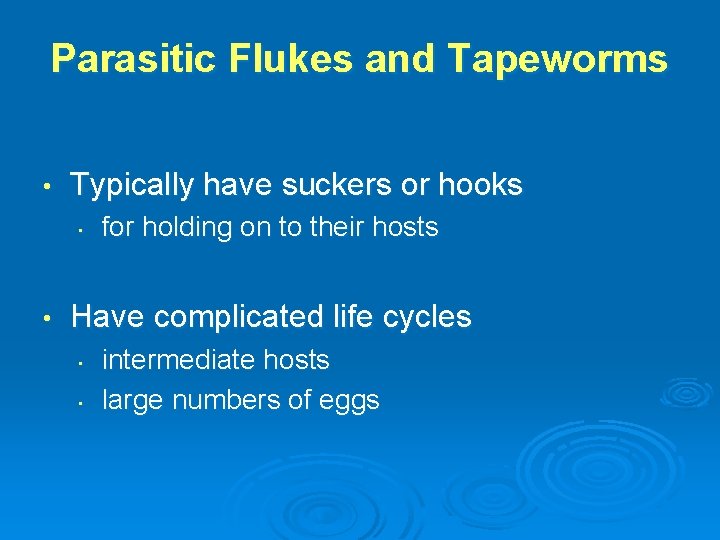 Parasitic Flukes and Tapeworms • Typically have suckers or hooks • • for holding