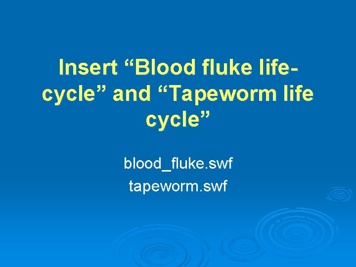 Insert “Blood fluke lifecycle” and “Tapeworm life cycle” blood_fluke. swf tapeworm. swf 