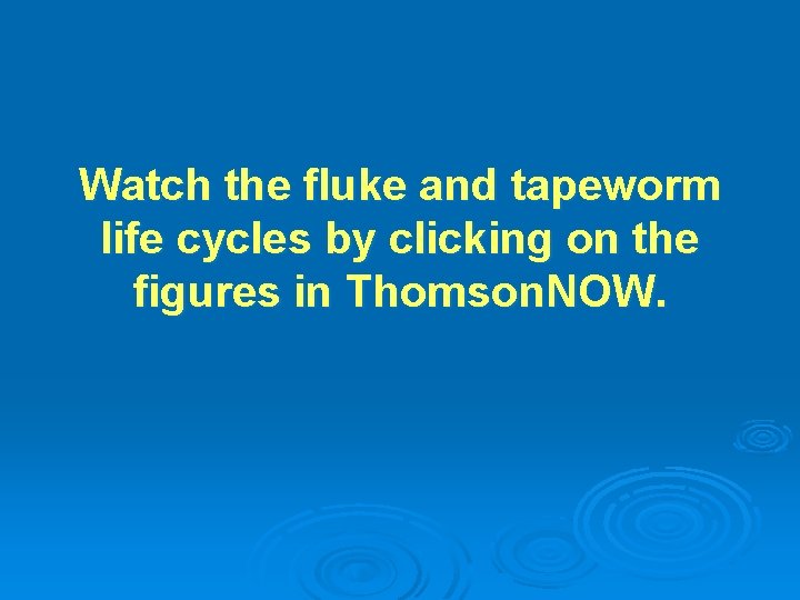 Watch the fluke and tapeworm life cycles by clicking on the figures in Thomson.