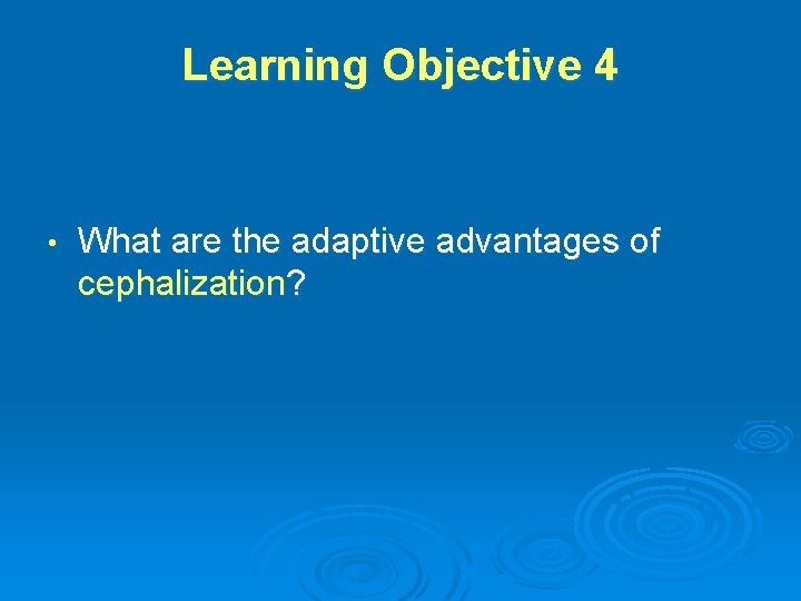 Learning Objective 4 • What are the adaptive advantages of cephalization? 