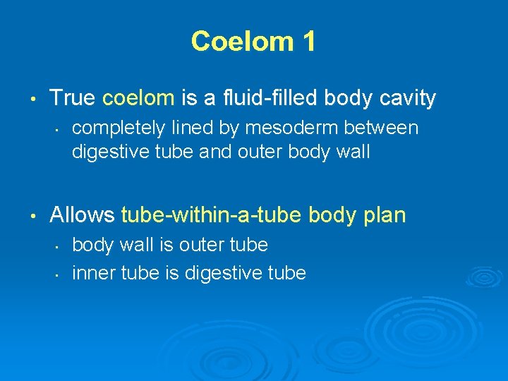 Coelom 1 • True coelom is a fluid-filled body cavity • • completely lined