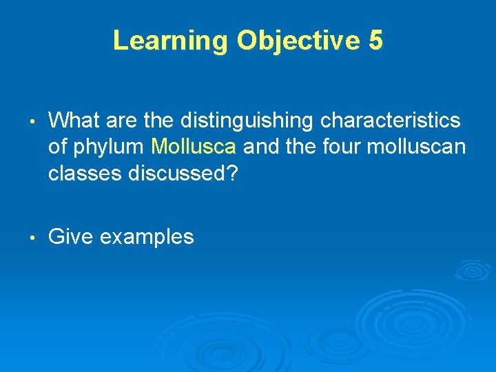 Learning Objective 5 • What are the distinguishing characteristics of phylum Mollusca and the