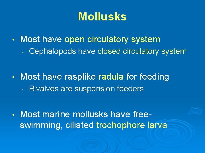 Mollusks • Most have open circulatory system • • Most have rasplike radula for