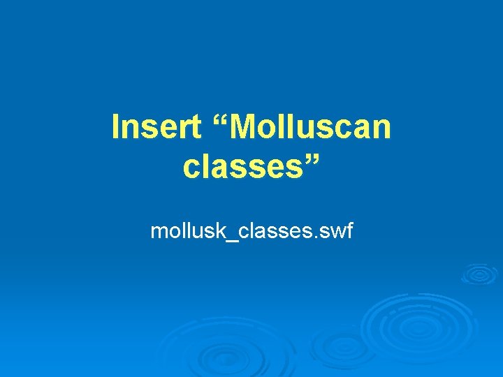 Insert “Molluscan classes” mollusk_classes. swf 