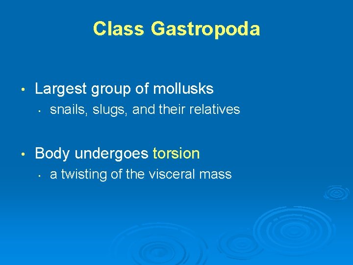 Class Gastropoda • Largest group of mollusks • • snails, slugs, and their relatives