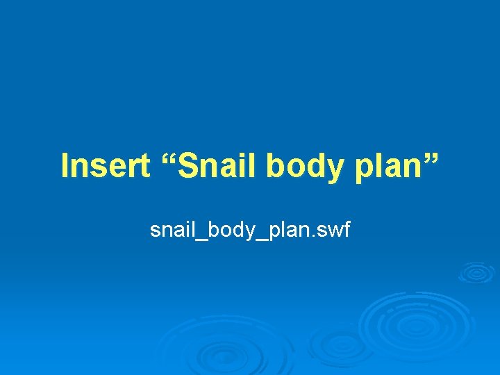 Insert “Snail body plan” snail_body_plan. swf 