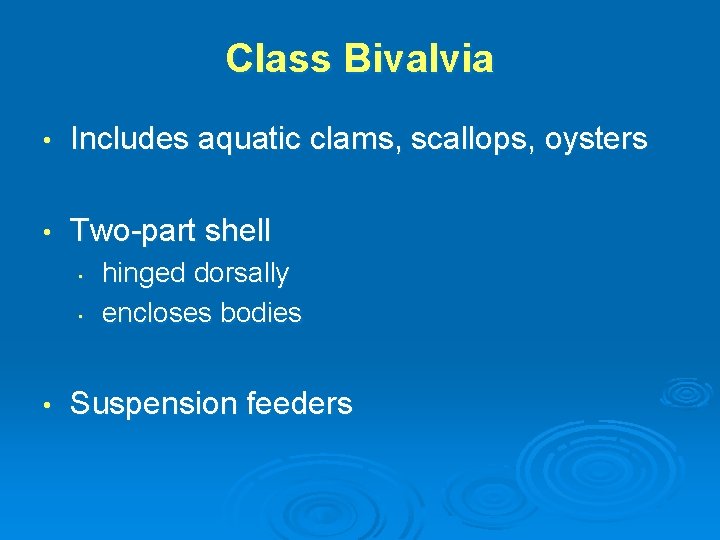 Class Bivalvia • Includes aquatic clams, scallops, oysters • Two-part shell • • •