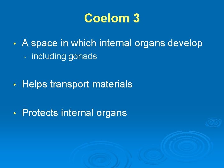 Coelom 3 • A space in which internal organs develop • including gonads •
