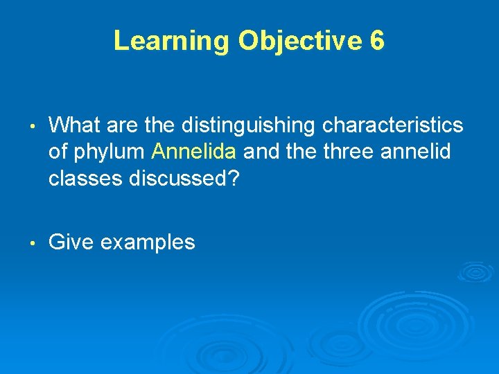 Learning Objective 6 • What are the distinguishing characteristics of phylum Annelida and the