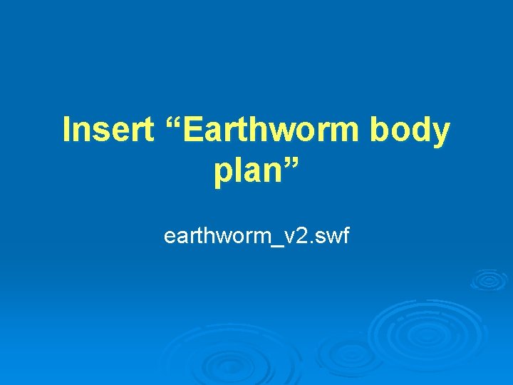 Insert “Earthworm body plan” earthworm_v 2. swf 