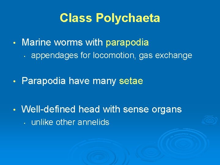 Class Polychaeta • Marine worms with parapodia • appendages for locomotion, gas exchange •