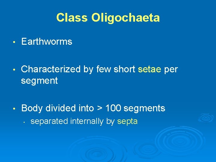 Class Oligochaeta • Earthworms • Characterized by few short setae per segment • Body