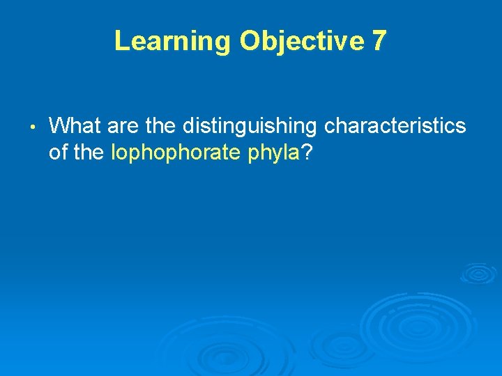 Learning Objective 7 • What are the distinguishing characteristics of the lophophorate phyla? 