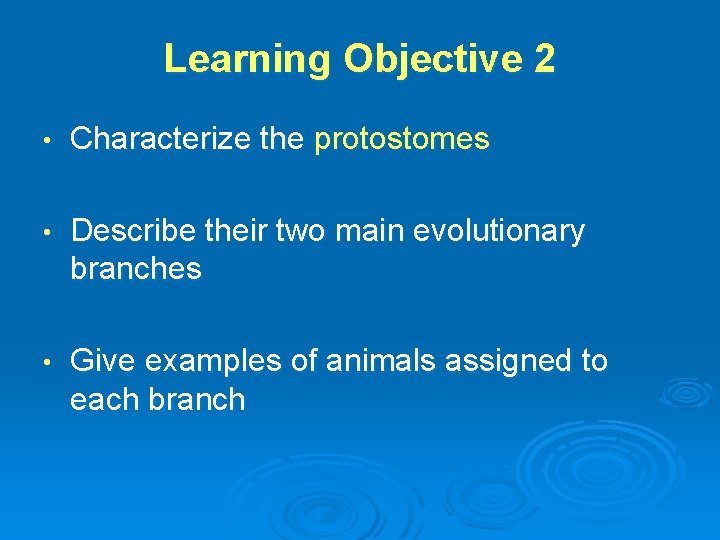 Learning Objective 2 • Characterize the protostomes • Describe their two main evolutionary branches