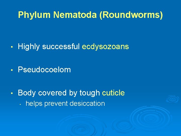Phylum Nematoda (Roundworms) • Highly successful ecdysozoans • Pseudocoelom • Body covered by tough