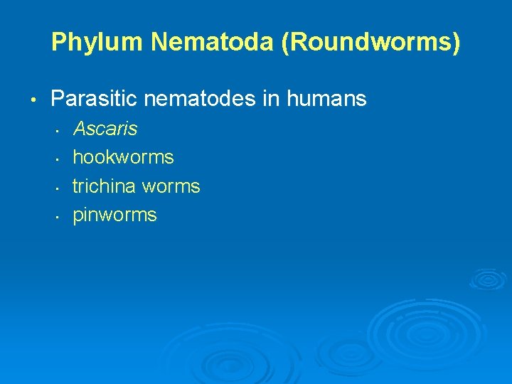 Phylum Nematoda (Roundworms) • Parasitic nematodes in humans • • Ascaris hookworms trichina worms