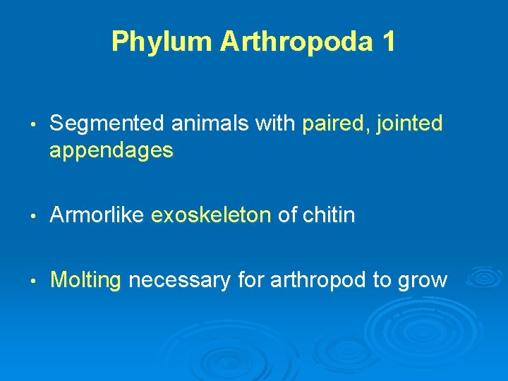 Phylum Arthropoda 1 • Segmented animals with paired, jointed appendages • Armorlike exoskeleton of