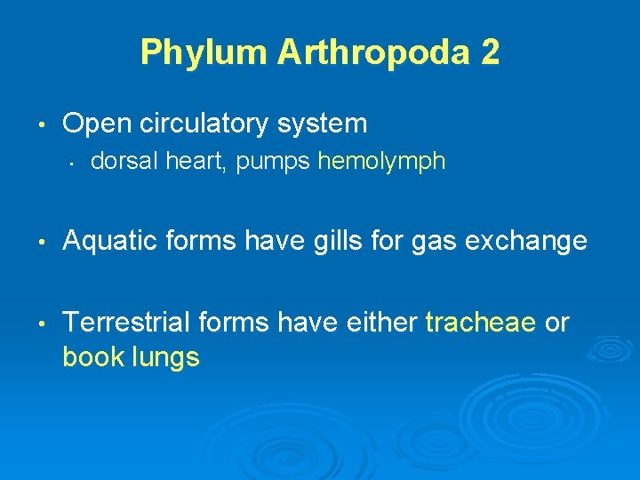 Phylum Arthropoda 2 • Open circulatory system • dorsal heart, pumps hemolymph • Aquatic