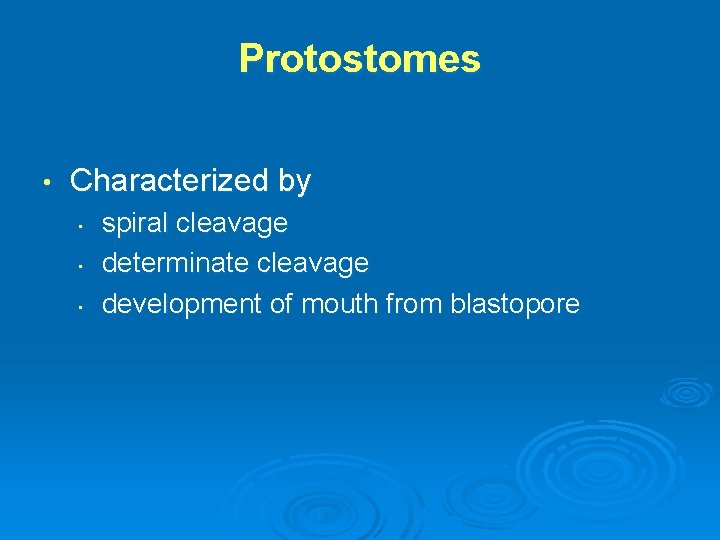 Protostomes • Characterized by • • • spiral cleavage determinate cleavage development of mouth