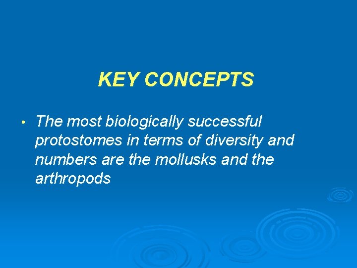 KEY CONCEPTS • The most biologically successful protostomes in terms of diversity and numbers