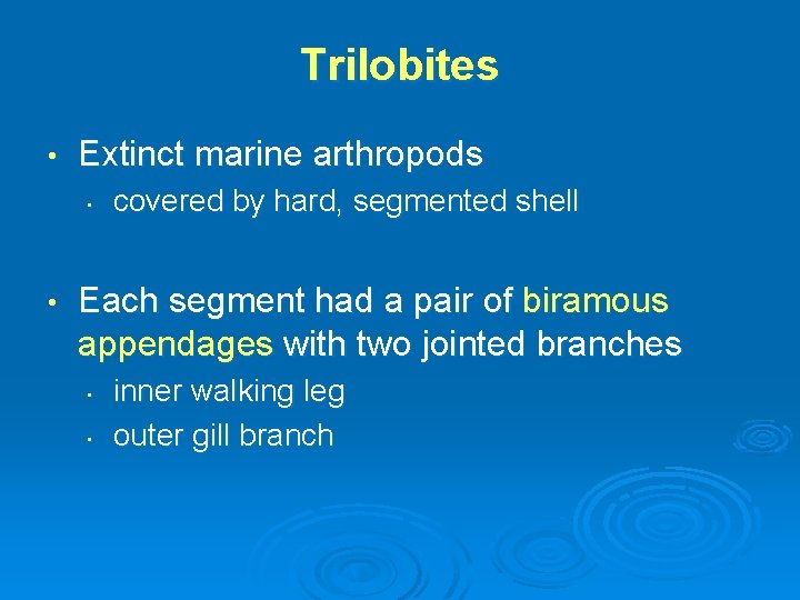 Trilobites • Extinct marine arthropods • • covered by hard, segmented shell Each segment