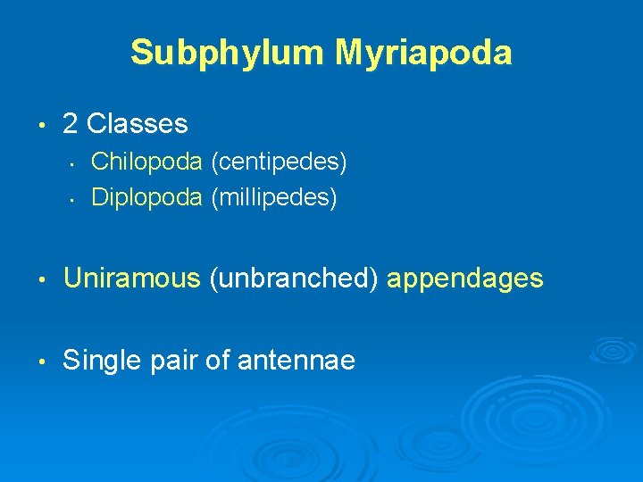 Subphylum Myriapoda • 2 Classes • • Chilopoda (centipedes) Diplopoda (millipedes) • Uniramous (unbranched)