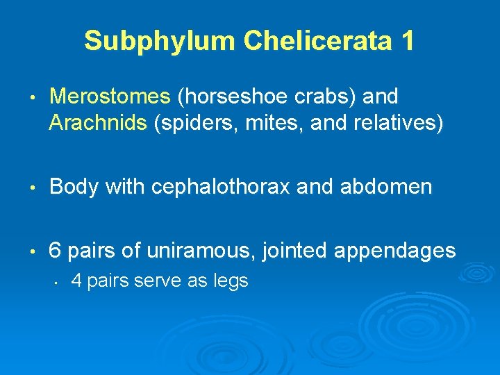 Subphylum Chelicerata 1 • Merostomes (horseshoe crabs) and Arachnids (spiders, mites, and relatives) •