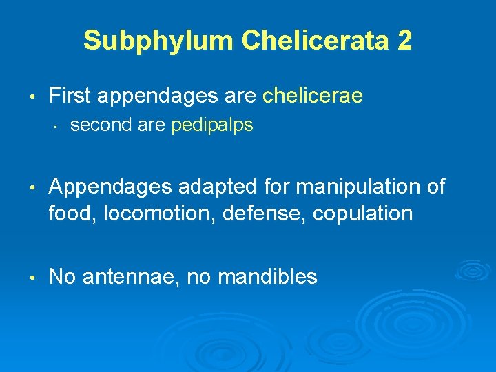 Subphylum Chelicerata 2 • First appendages are chelicerae • second are pedipalps • Appendages