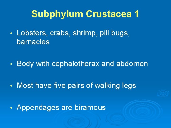 Subphylum Crustacea 1 • Lobsters, crabs, shrimp, pill bugs, barnacles • Body with cephalothorax