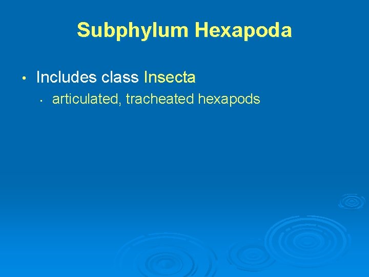 Subphylum Hexapoda • Includes class Insecta • articulated, tracheated hexapods 