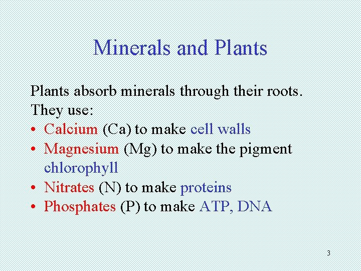Minerals and Plants absorb minerals through their roots. They use: • Calcium (Ca) to