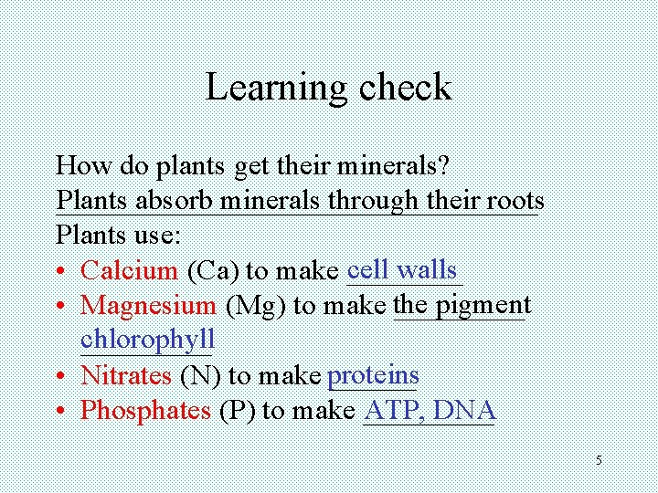 Learning check How do plants get their minerals? _________________ Plants absorb minerals through their