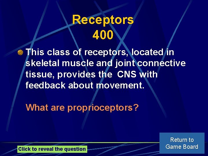 Receptors 400 This class of receptors, located in skeletal muscle and joint connective tissue,