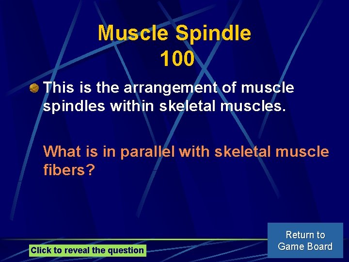 Muscle Spindle 100 This is the arrangement of muscle spindles within skeletal muscles. What
