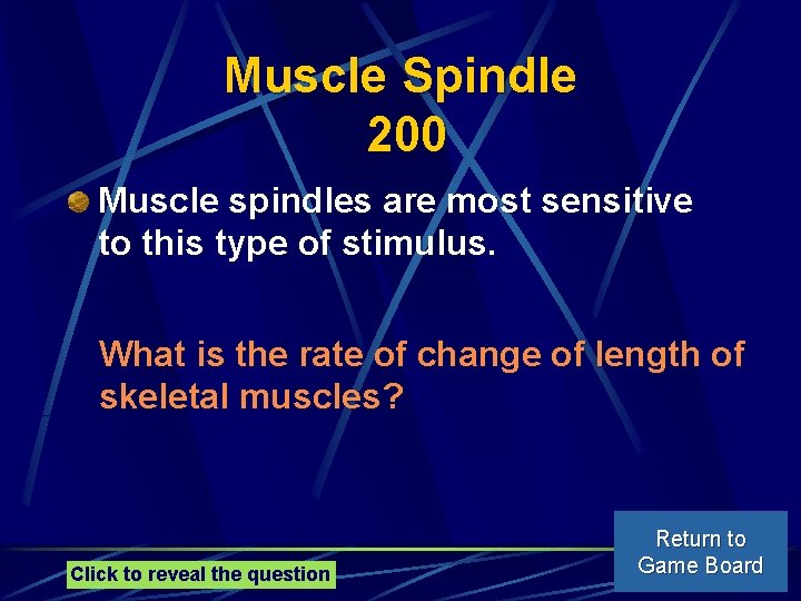 Muscle Spindle 200 Muscle spindles are most sensitive to this type of stimulus. What