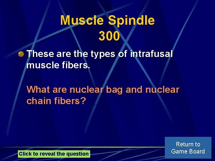 Muscle Spindle 300 These are the types of intrafusal muscle fibers. What are nuclear