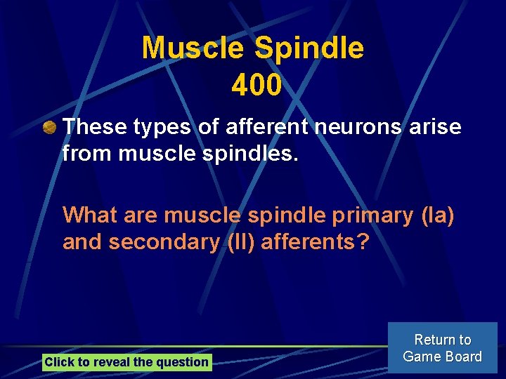 Muscle Spindle 400 These types of afferent neurons arise from muscle spindles. What are