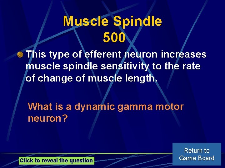 Muscle Spindle 500 This type of efferent neuron increases muscle spindle sensitivity to the