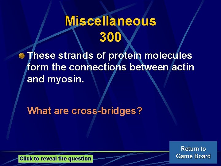 Miscellaneous 300 These strands of protein molecules form the connections between actin and myosin.