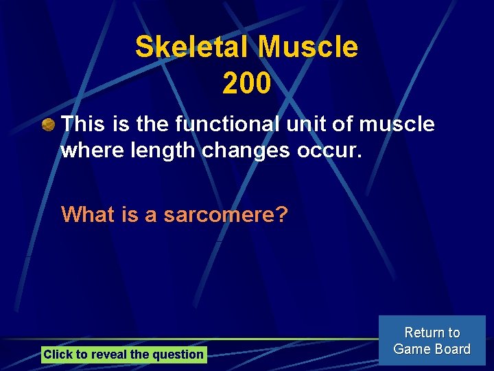 Skeletal Muscle 200 This is the functional unit of muscle where length changes occur.