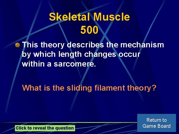 Skeletal Muscle 500 This theory describes the mechanism by which length changes occur within