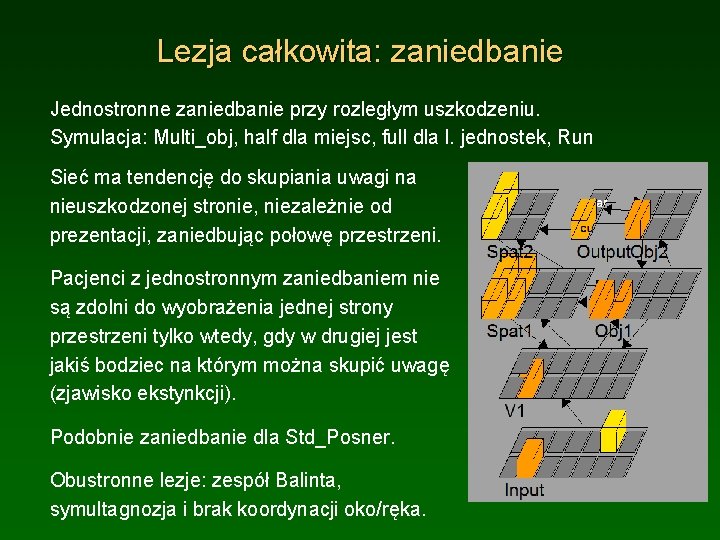 Lezja całkowita: zaniedbanie Jednostronne zaniedbanie przy rozległym uszkodzeniu. Symulacja: Multi_obj, half dla miejsc, full