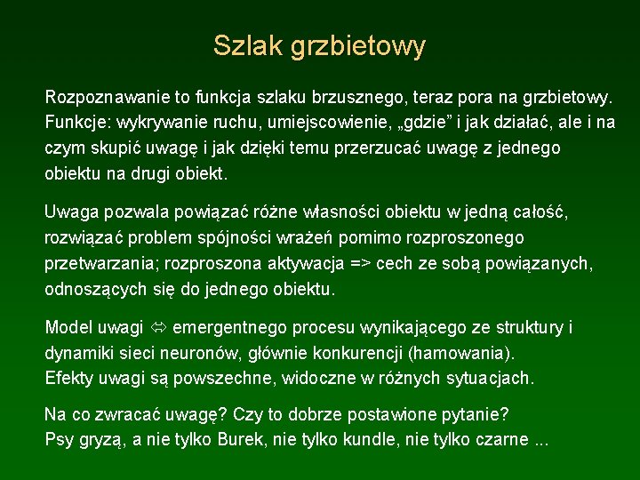 Szlak grzbietowy Rozpoznawanie to funkcja szlaku brzusznego, teraz pora na grzbietowy. Funkcje: wykrywanie ruchu,