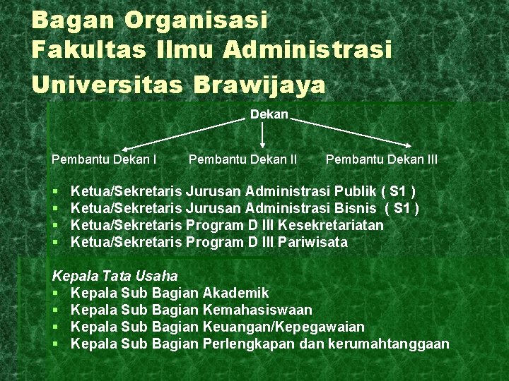 Bagan Organisasi Fakultas Ilmu Administrasi Universitas Brawijaya Dekan Pembantu Dekan I § § Pembantu