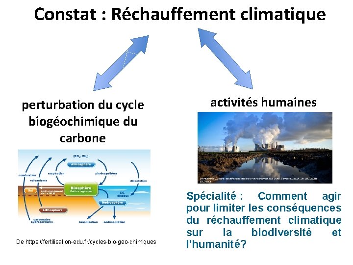 Constat : Réchauffement climatique perturbation du cycle biogéochimique du carbone De https: //fertilisation-edu. fr/cycles-bio-geo-chimiques