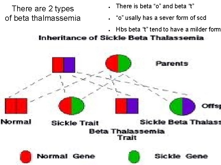 There are 2 types of beta thalmassemia ● There is beta “o” and beta