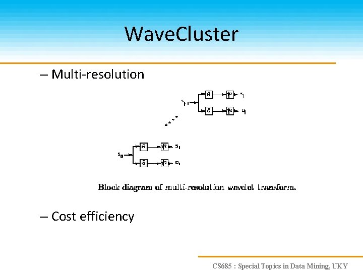 Wave. Cluster – Multi-resolution – Cost efficiency CS 685 : Special Topics in Data