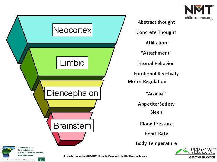 Abstract thought Neocortex Concrete Thought Affiliation "Attachment" Limbic Sexual Behavior Emotional Reactivity Motor Regulation