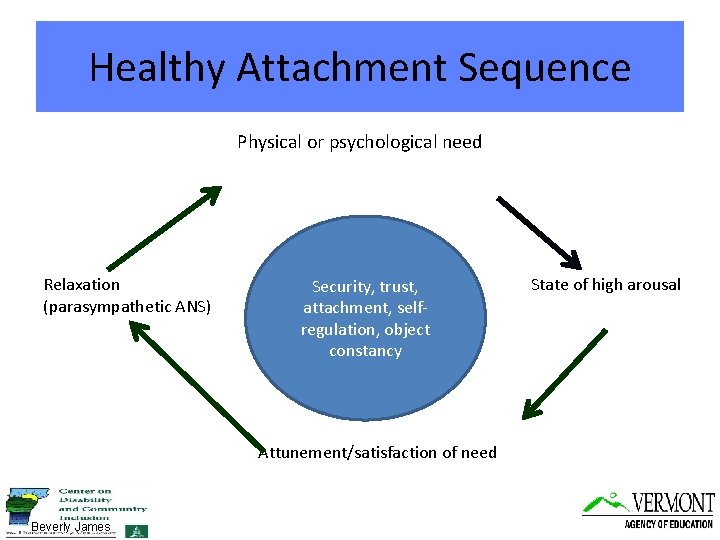 Healthy Attachment Sequence Physical or psychological need Relaxation (parasympathetic ANS) Security, trust, attachment, selfregulation,