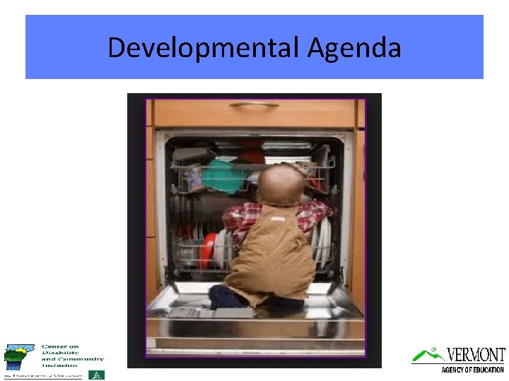 Developmental Agenda 